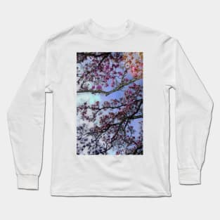 Cherry Blossoms Long Sleeve T-Shirt